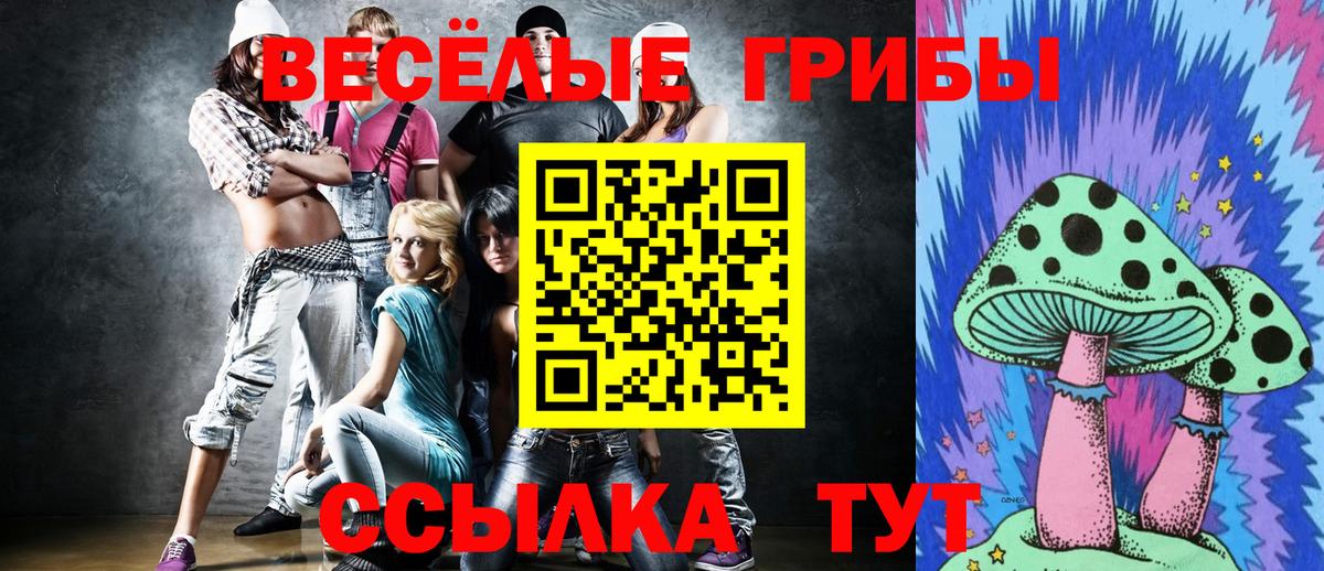Псилоцибиновые грибы ЛСД Благовещенск